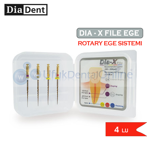 Dia-X Kanal Egesi Rotary Niti