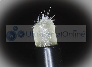 EverX BulkFill Posterior  50 'li