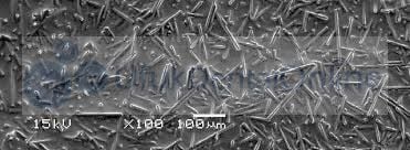 Everx Flow Bulk | Akıcı Fiber